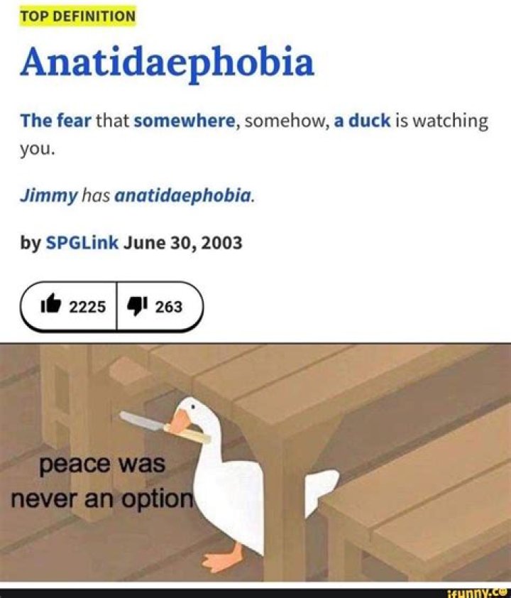 Is anatidaephobia in the dictionary?